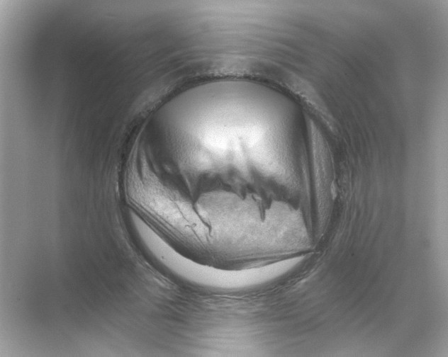 X0000068900681200606021946