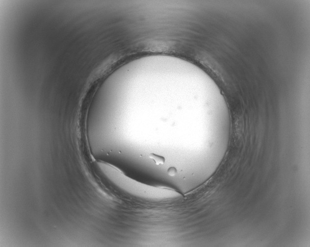 X0000068900682200606021946