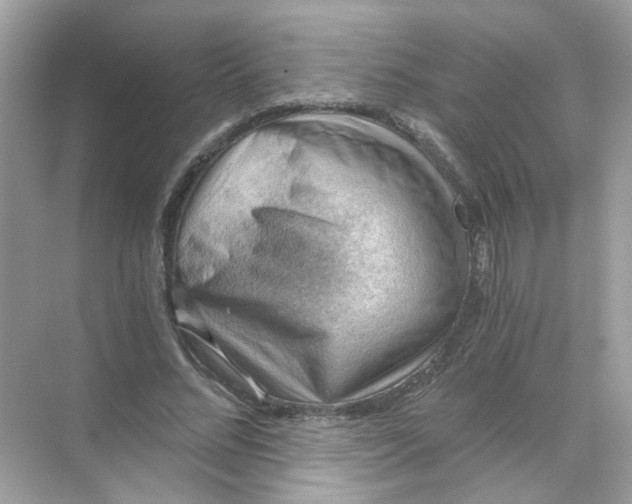 X0000068900684200606021946