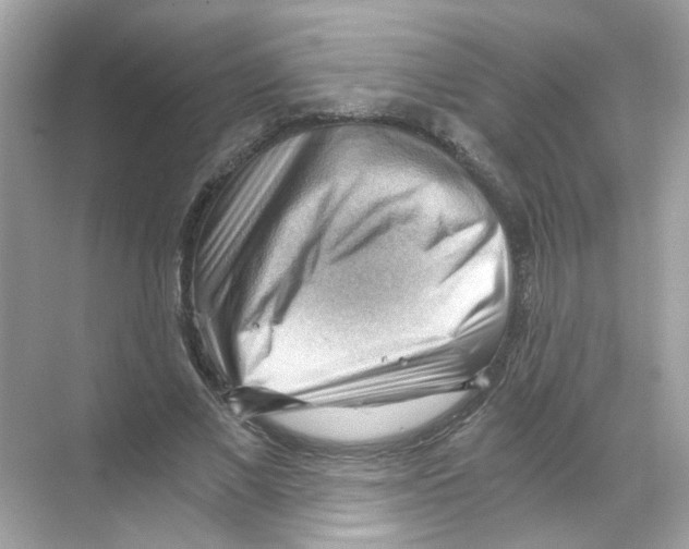 X0000068900685200606021946