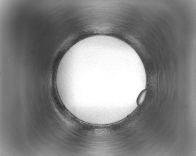 X0000068900686200606021946