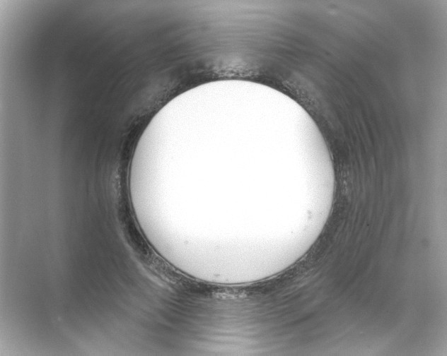 X0000068900690200606021946
