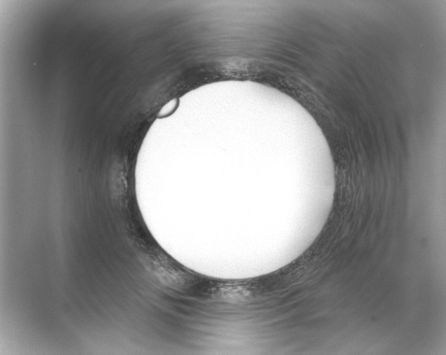 X0000068900702200606021945