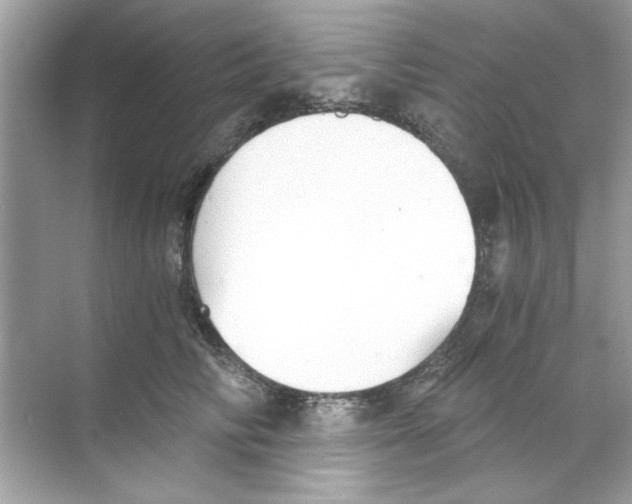 X0000068900710200606021945