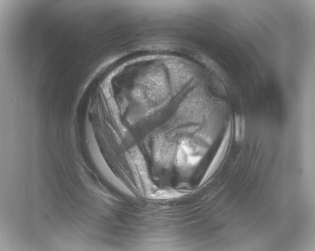 X0000068900723200606021944