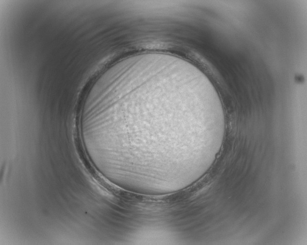 X0000068900725200606021944