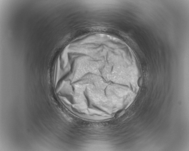 X0000068900729200606021944