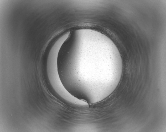 X0000068900731200606021944
