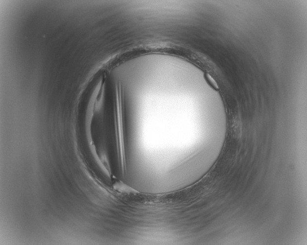 X0000068900732200606021944