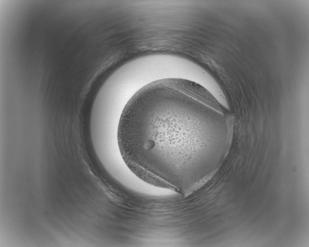 X0000068900735200606021945