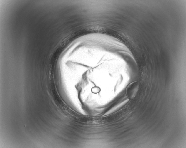 X0000068900739200606021945