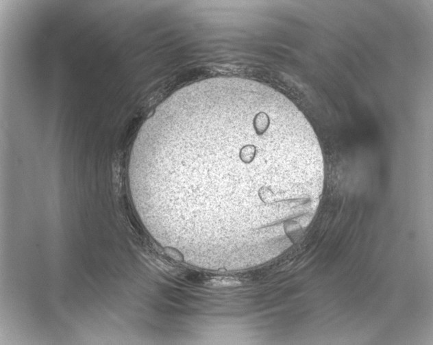 X0000068900749200606021945