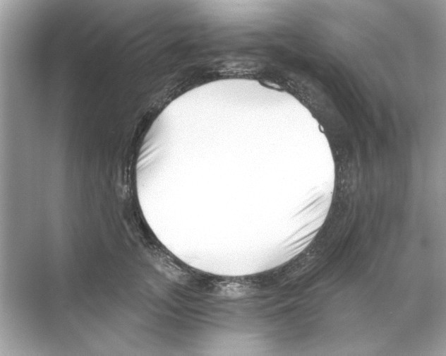 X0000068900755200606021945