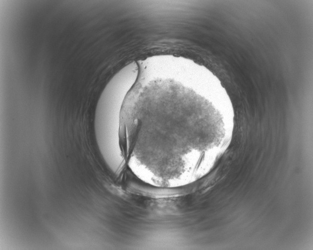 X0000068900758200606021945