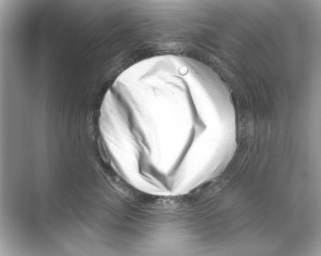 X0000068900764200606021945