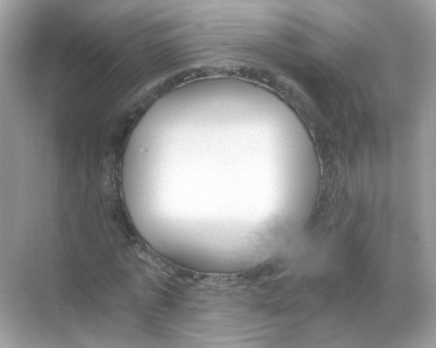 X0000068900773200606021944