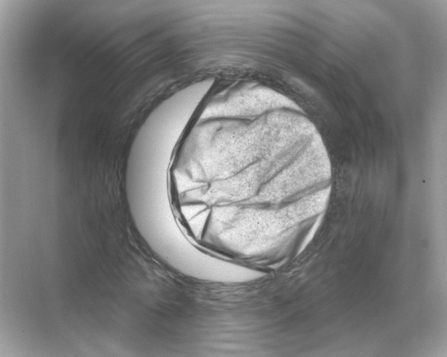 X0000068900774200606021944
