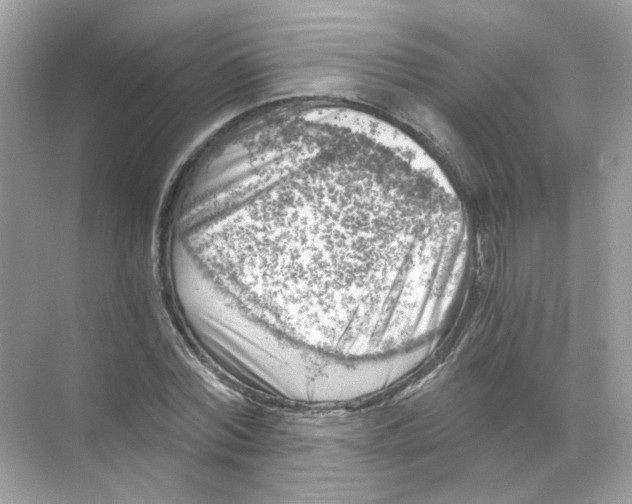 X0000068900780200606021944