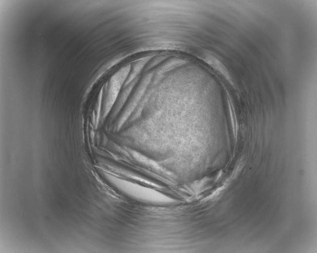 X0000068900781200606021944