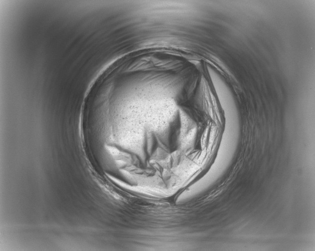 X0000068900788200606021944