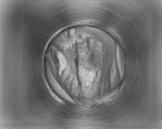 X0000068900792200606021944