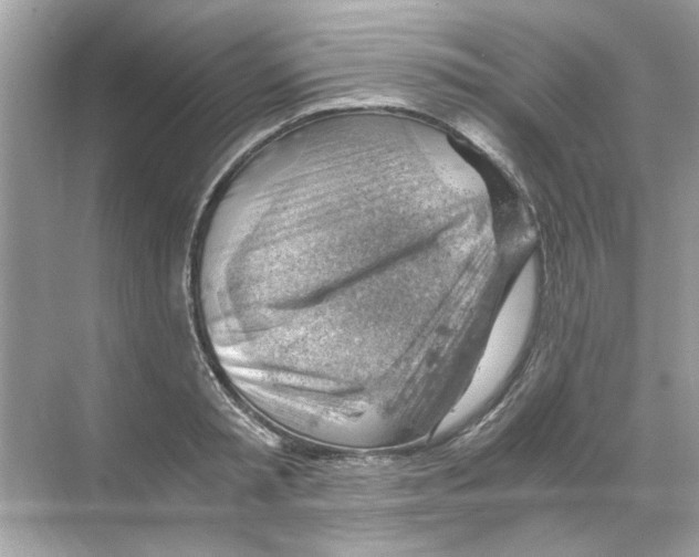 X0000068900797200606021944