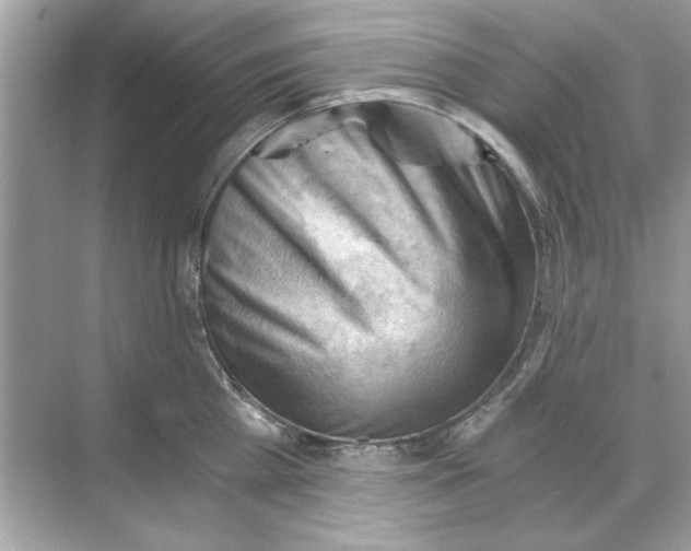 X0000068900809200606021944