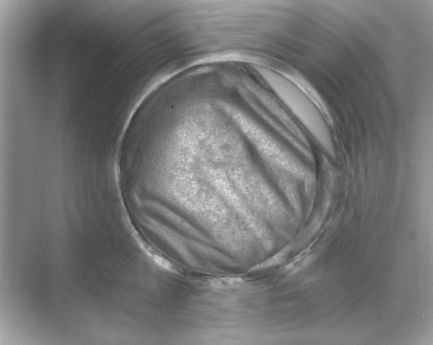 X0000068900813200606021944