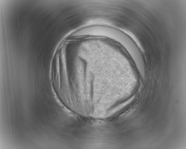X0000068900815200606021943