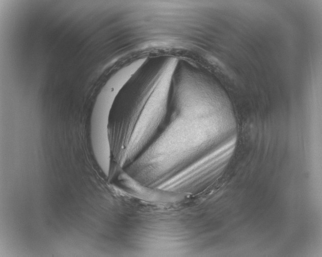 X0000068900822200606021943