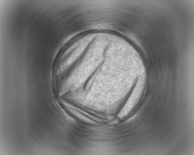 X0000068900831200606021943