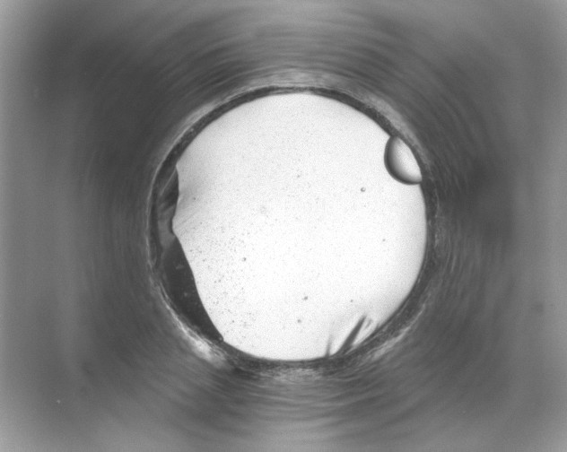 X0000068900837200606021943