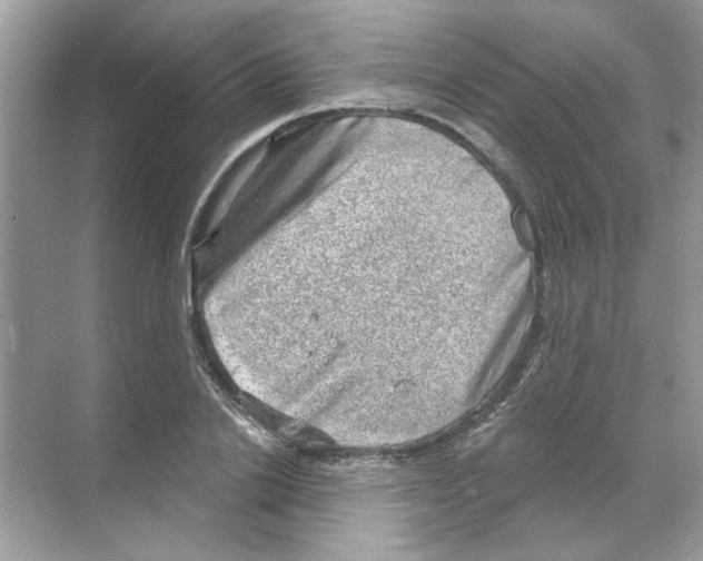 X0000068900838200606021943