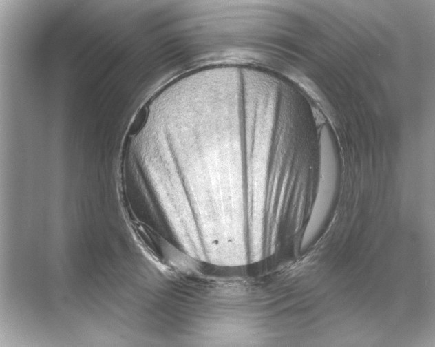 X0000068900850200606021943