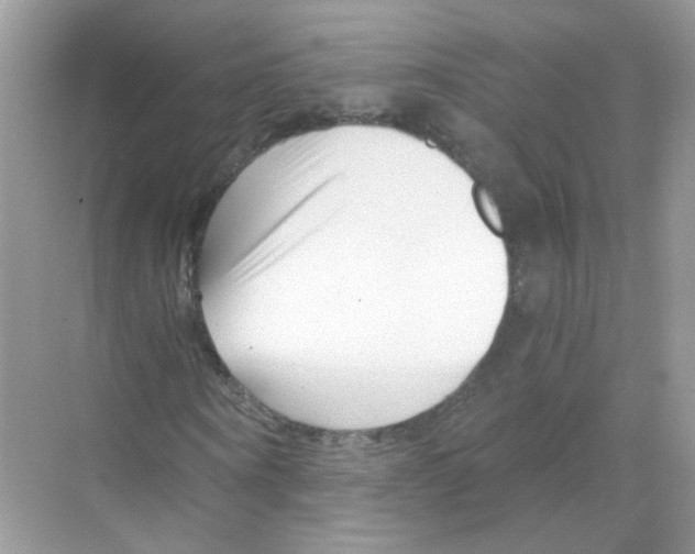 X0000068900866200606021943