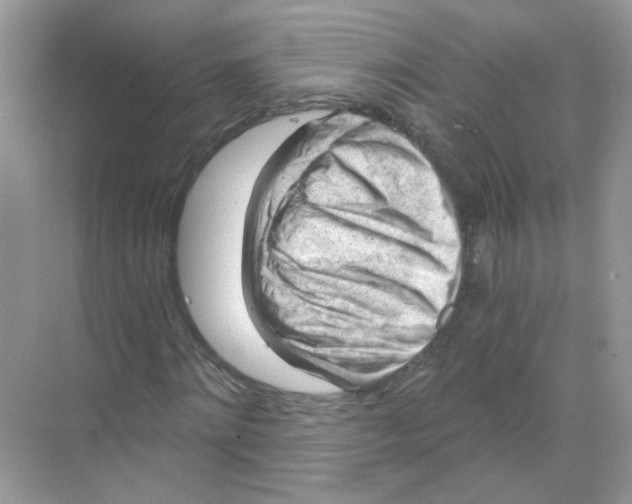 X0000068900868200606021943