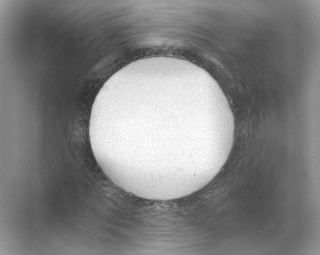 X0000068900869200606021943