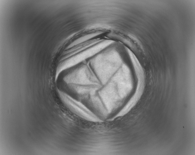 X0000068900872200606021943