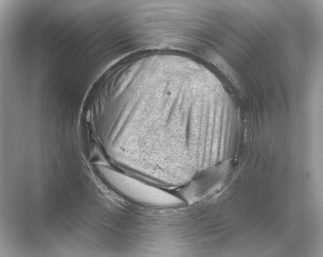 X0000068900876200606021942