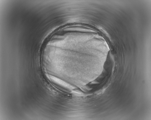 X0000068900877200606021942