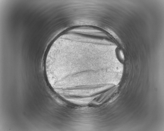 X0000068900885200606021942