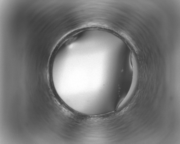 X0000068900888200606021942