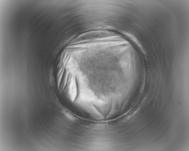X0000068900889200606021942