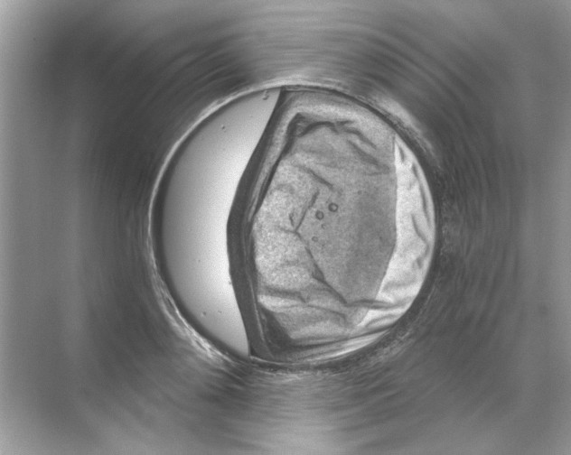 X0000068900892200606021942