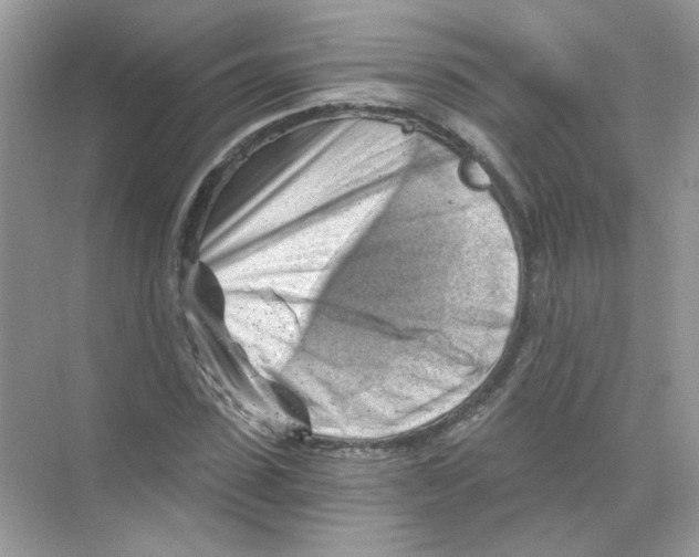 X0000068900923200606021941
