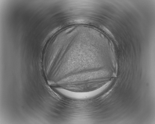X0000068900930200606021941