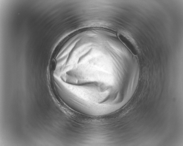 X0000068900936200606021941