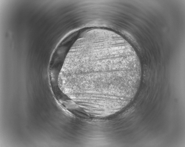 X0000068900942200606021942