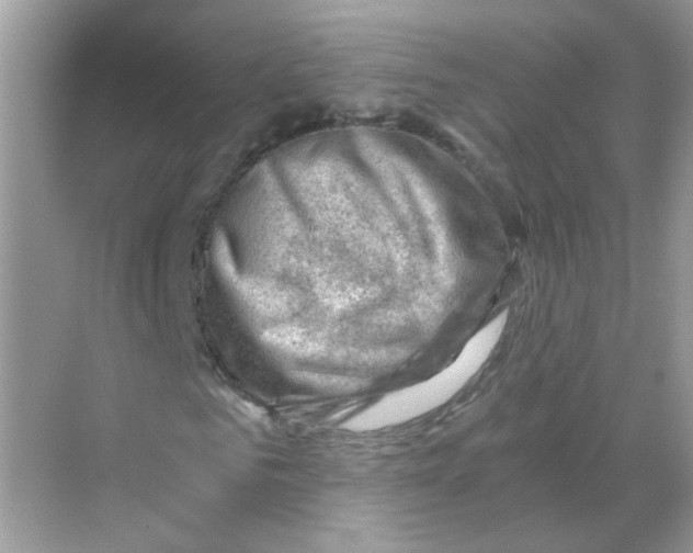 X0000068900961200606021941