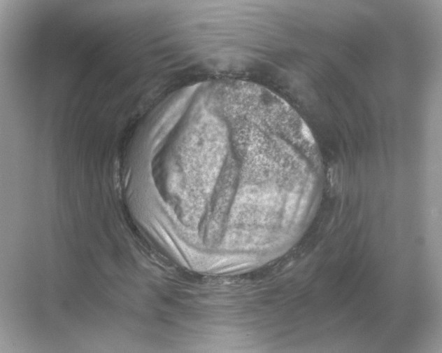 X0000068900963200606021941